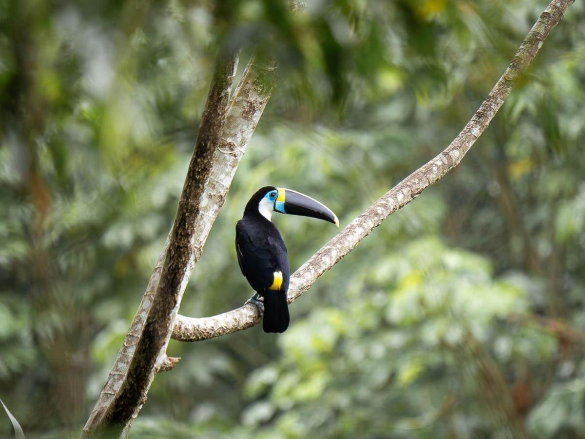 Willa Casa Amazonas Puerto Maldonado Zewnętrze zdjęcie