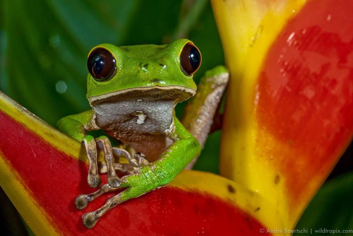 Willa Casa Amazonas Puerto Maldonado Zewnętrze zdjęcie
