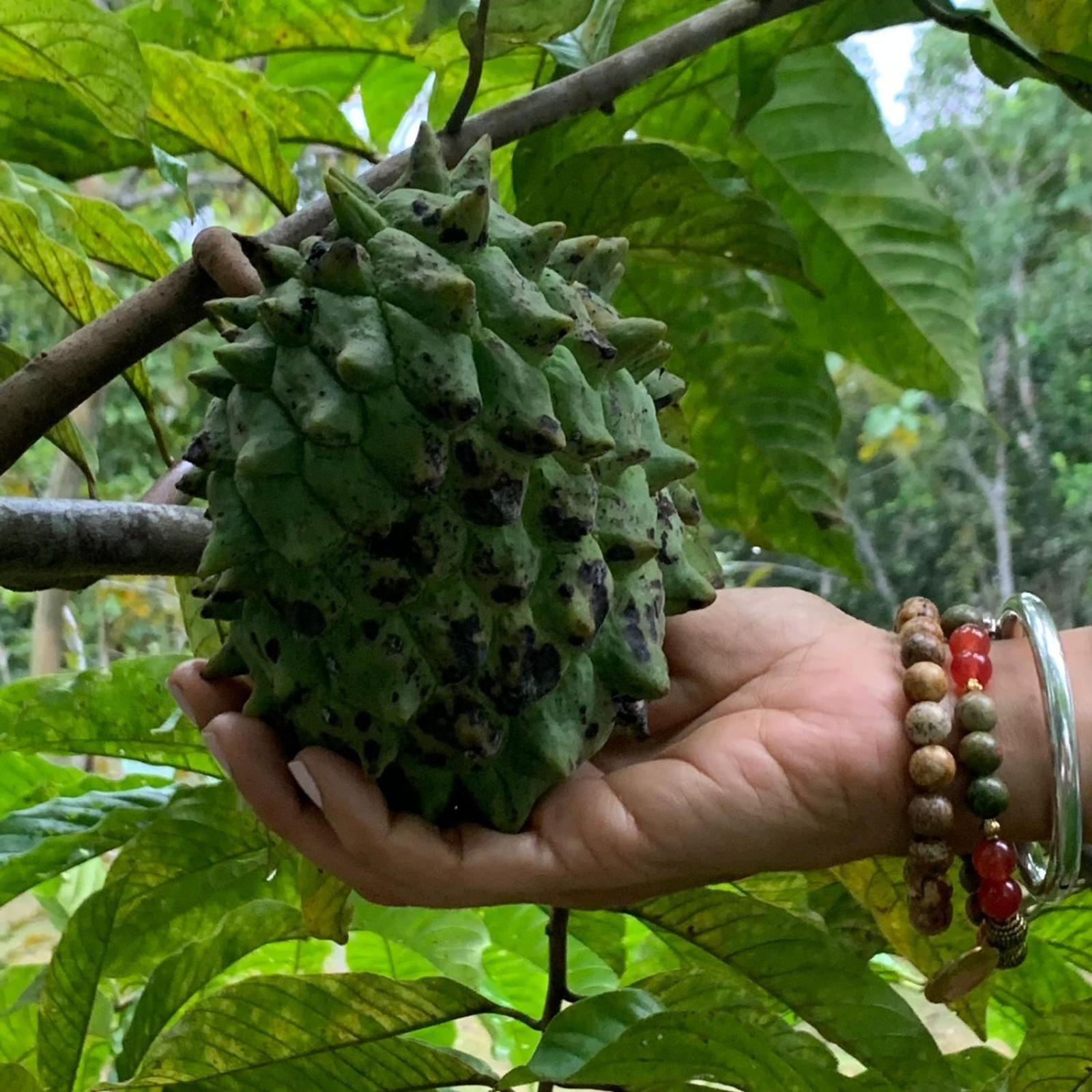 Willa Casa Amazonas Puerto Maldonado Zewnętrze zdjęcie